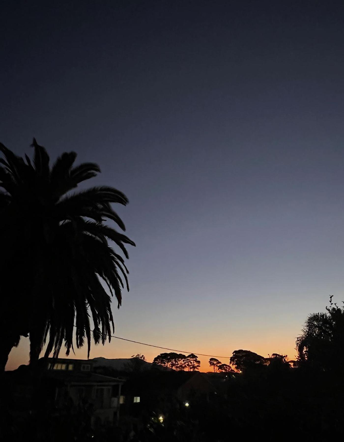 Narooma Palms Holiday Apartments מראה חיצוני תמונה